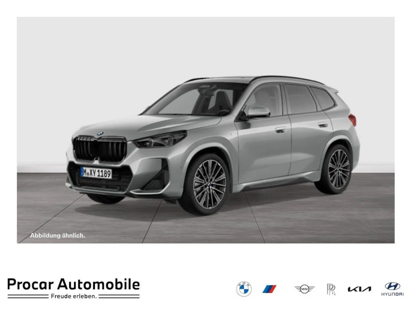 X1 xDrive23i M Sport Pro 20  Pano AHK DA Prof.