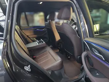 X3 xDrive20i M-Sport Park Assist Plus Leder 19 L