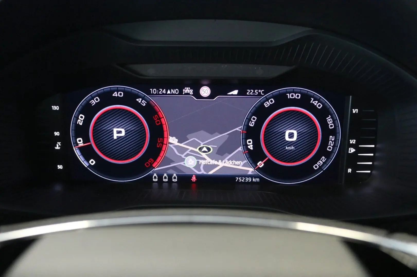 Kodiaq RS 4x4 AHK DCC Pano Kamera PDC