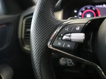 Kodiaq RS 4x4 AHK DCC Pano Kamera PDC