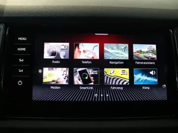 Kodiaq RS 4x4 AHK DCC Pano Kamera PDC