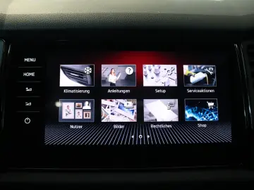 Kodiaq RS 4x4 AHK DCC Pano Kamera PDC