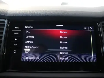 Kodiaq RS 4x4 AHK DCC Pano Kamera PDC