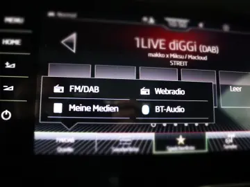 Kodiaq RS 4x4 AHK DCC Pano Kamera PDC