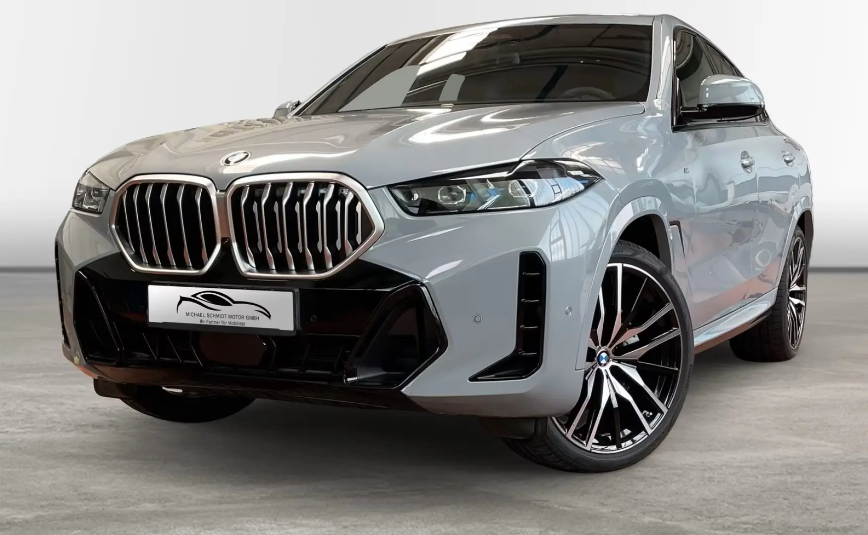 X6 xDrive40d M Sportpaket 22 Zoll H K 2 Achs Pan