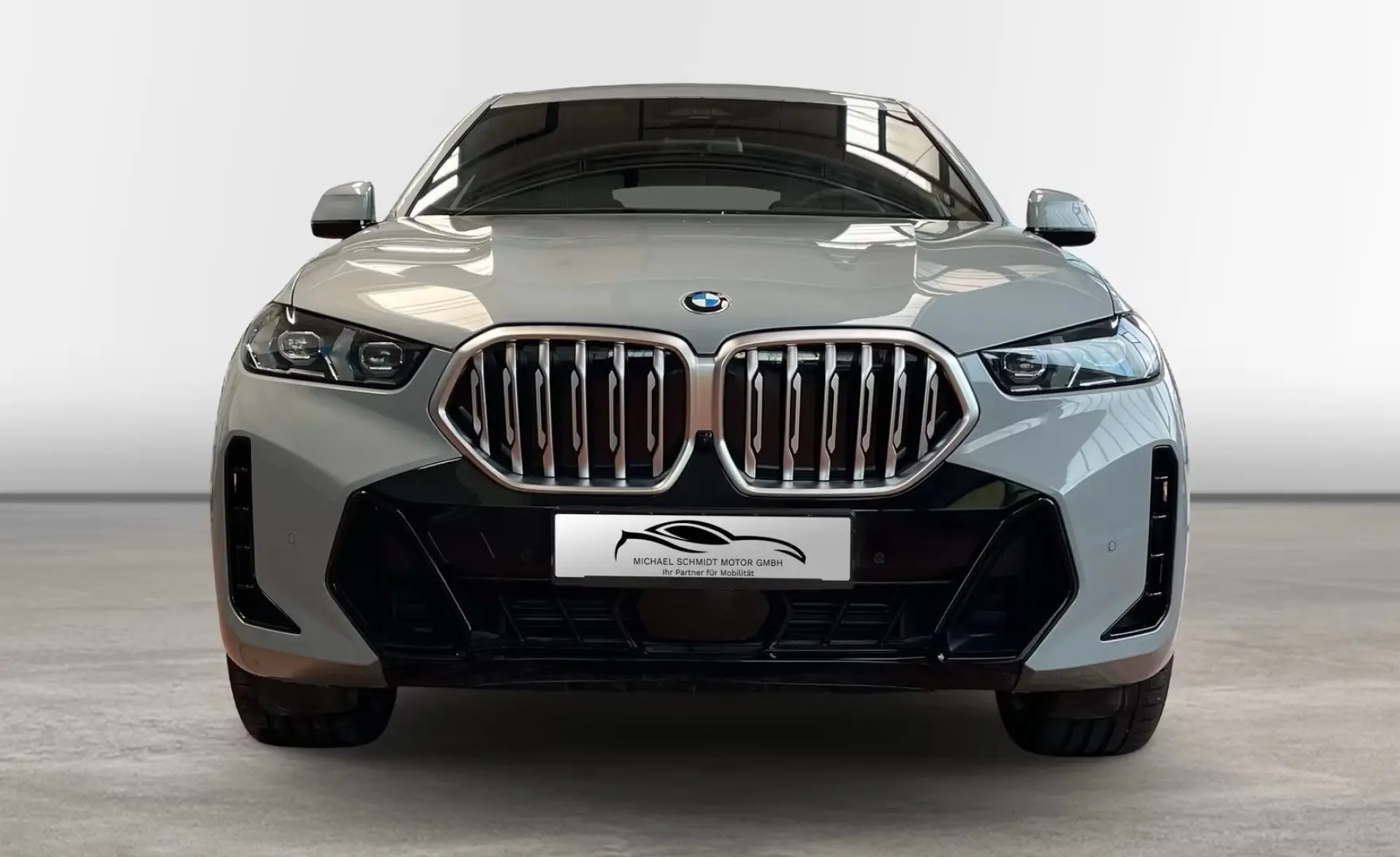 X6 xDrive40d M Sportpaket 22 Zoll H K 2 Achs Pan