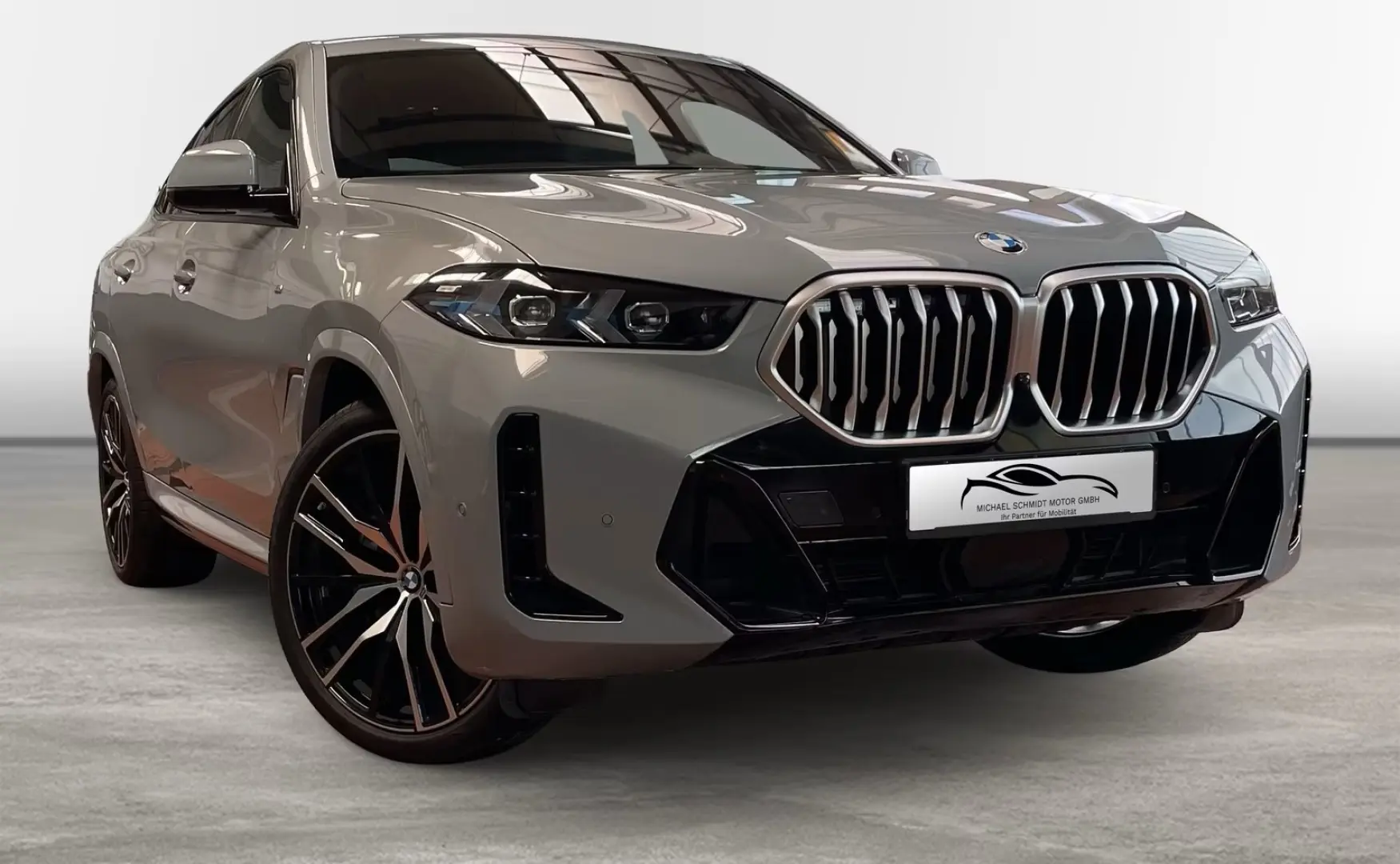 X6 xDrive40d M Sportpaket 22 Zoll H K 2 Achs Pan