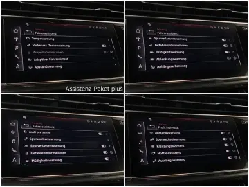 RSQ8 DynamikPlus Pano Sbel B&O HUD AHK RS-Abgas