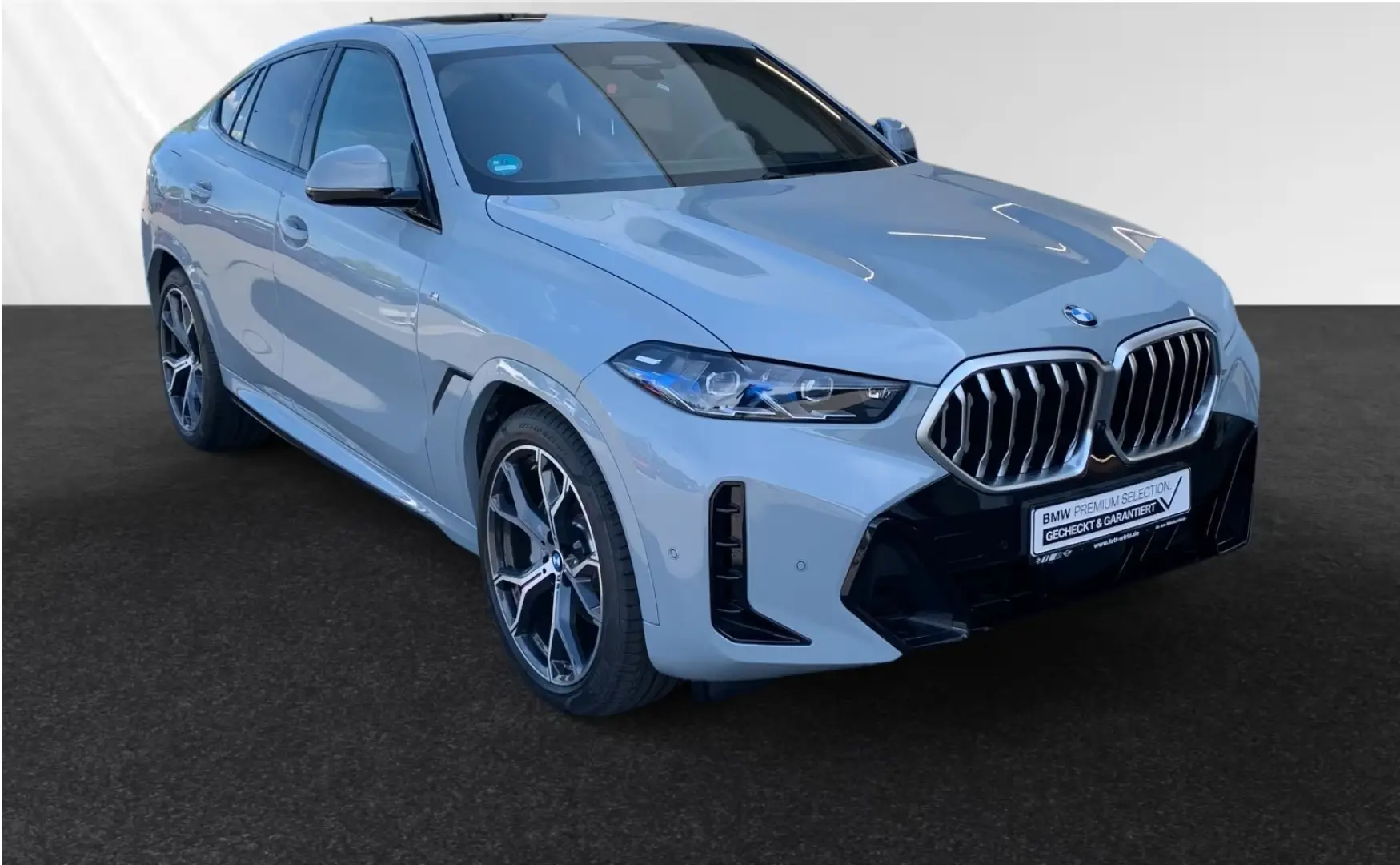 X6 xDrive30d M Sport SkyLounge AHK B&W Standhzg.