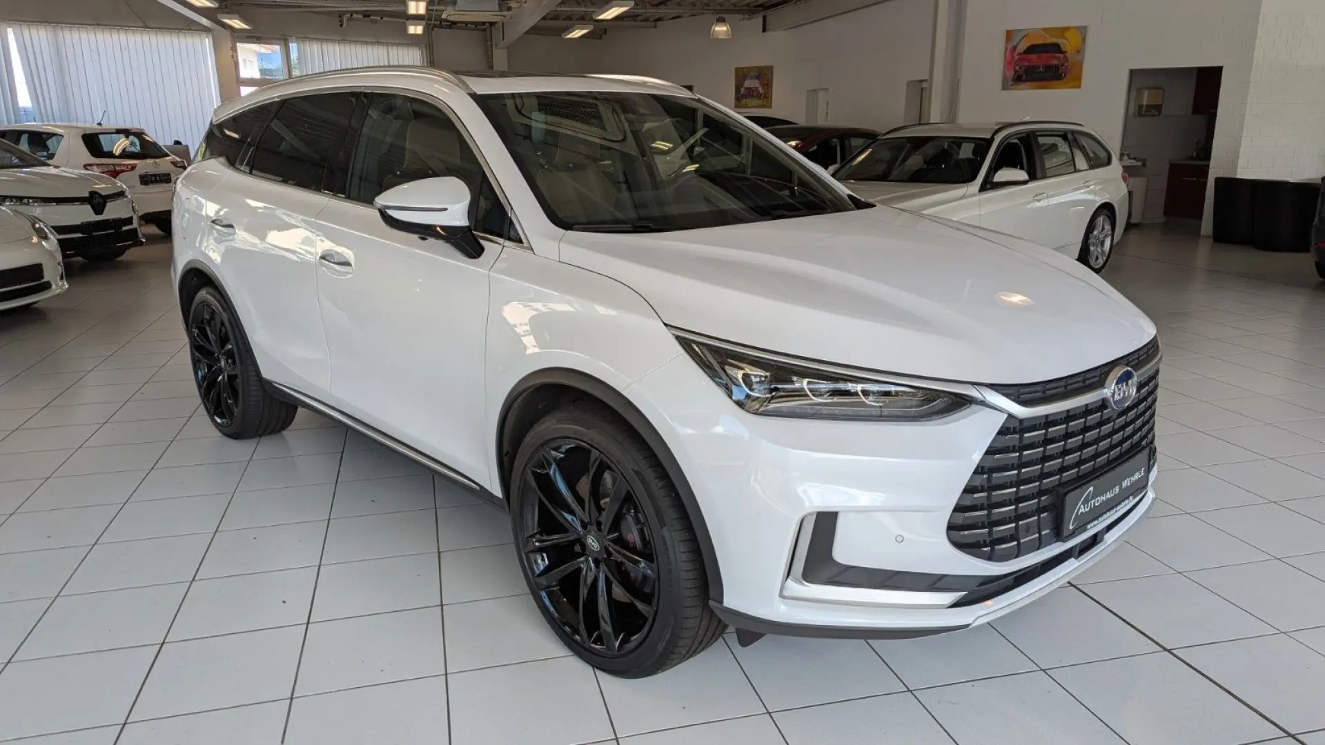 TANG Tang 380 kW Flagship 4WD  Leder Pano-Dach