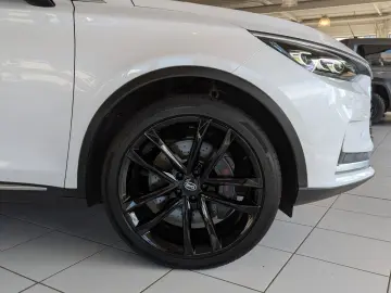 TANG Tang 380 kW Flagship 4WD  Leder Pano-Dach