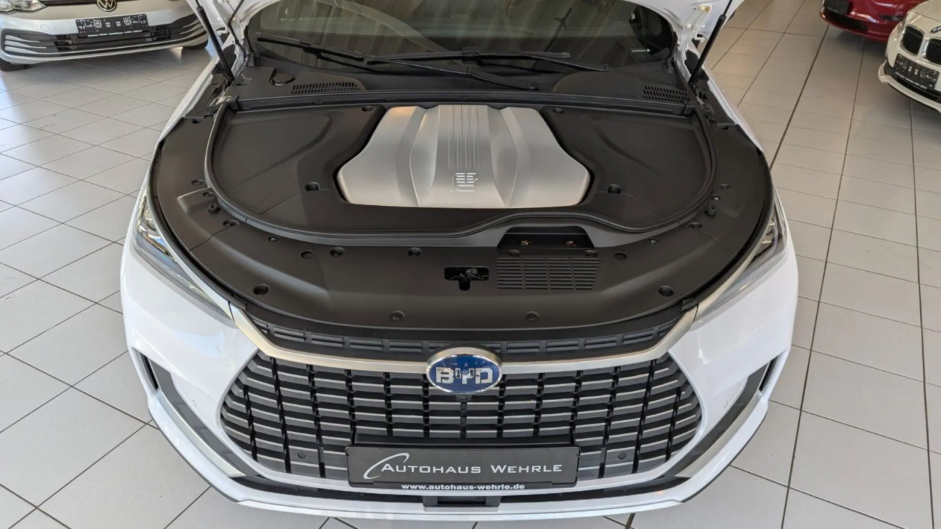 TANG Tang 380 kW Flagship 4WD  Leder Pano-Dach