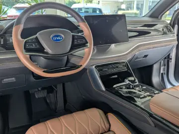 TANG Tang 380 kW Flagship 4WD  Leder Pano-Dach