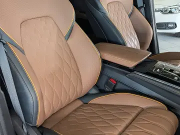 TANG Tang 380 kW Flagship 4WD  Leder Pano-Dach