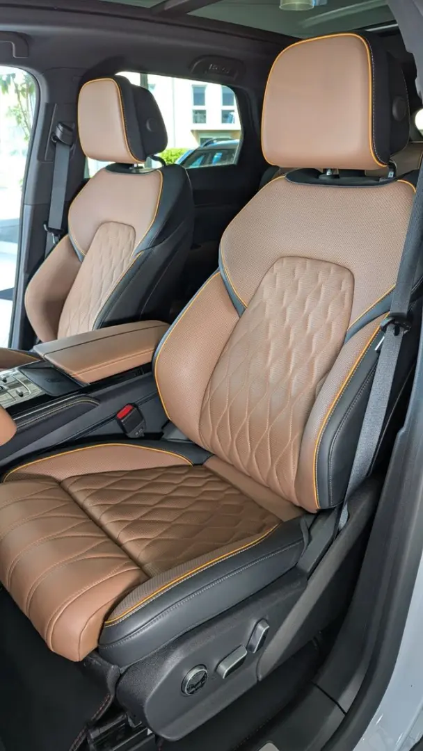 TANG Tang 380 kW Flagship 4WD  Leder Pano-Dach