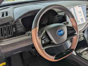 TANG Tang 380 kW Flagship 4WD  Leder Pano-Dach