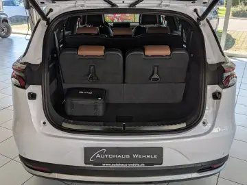 TANG Tang 380 kW Flagship 4WD  Leder Pano-Dach