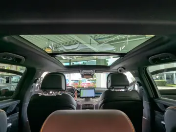 TANG Tang 380 kW Flagship 4WD  Leder Pano-Dach