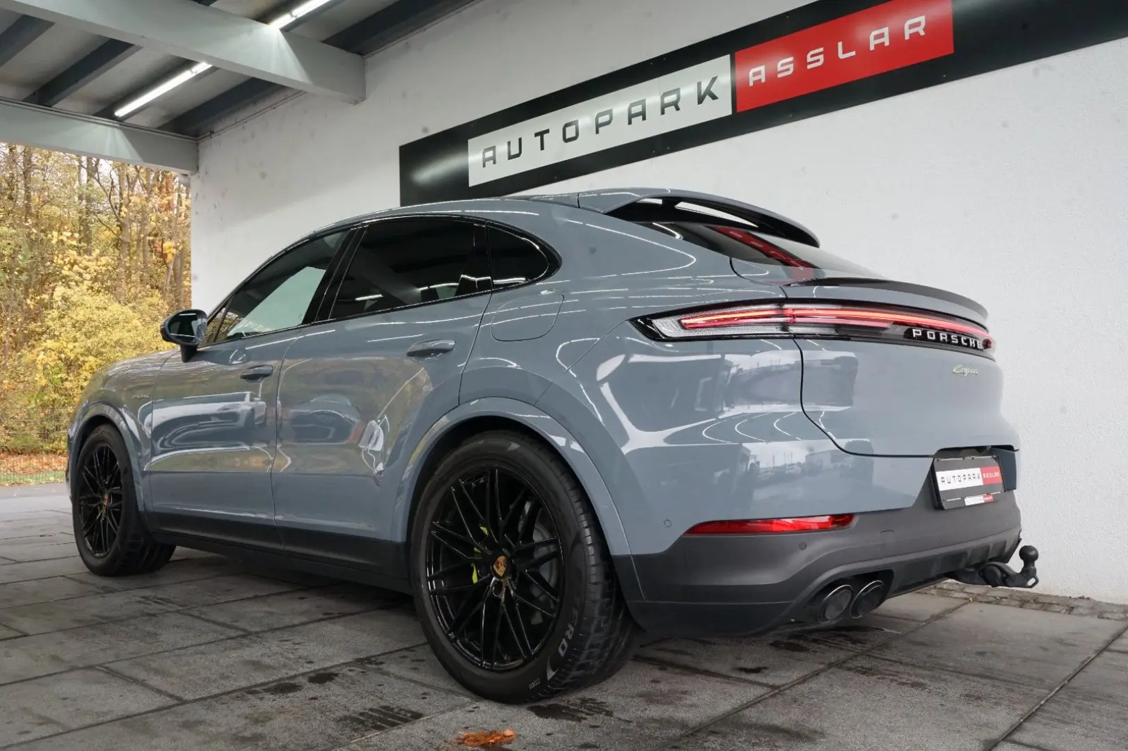 Cayenne Coupe E-Hybrid P-Display SpAbgas AHK 18W