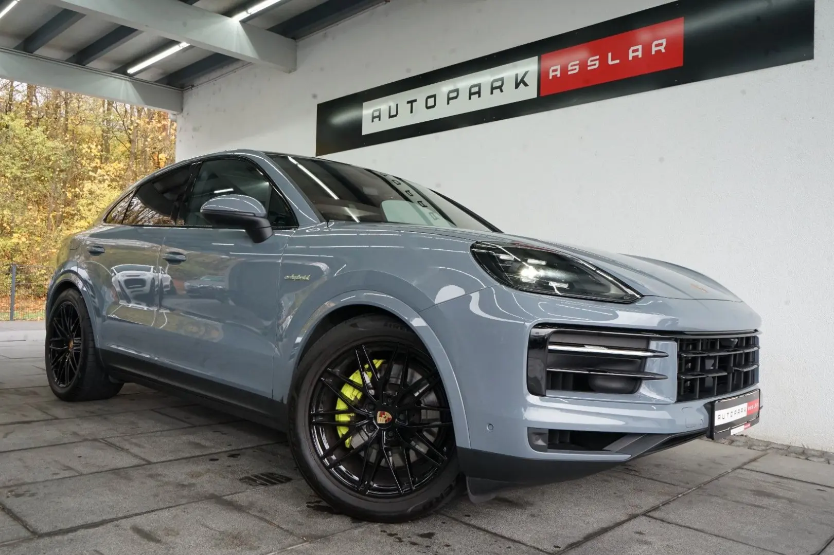 Cayenne Coupe E-Hybrid P-Display SpAbgas AHK 18W