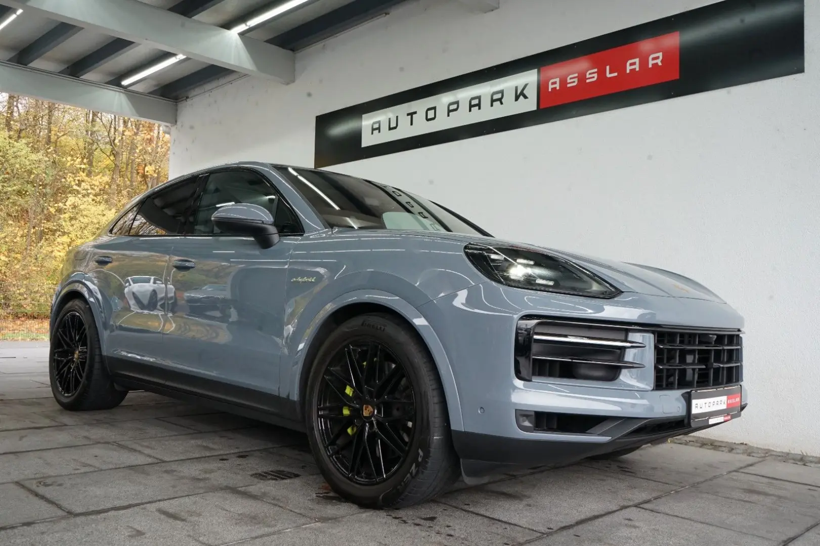 Cayenne Coupe E-Hybrid P-Display SpAbgas AHK 18W