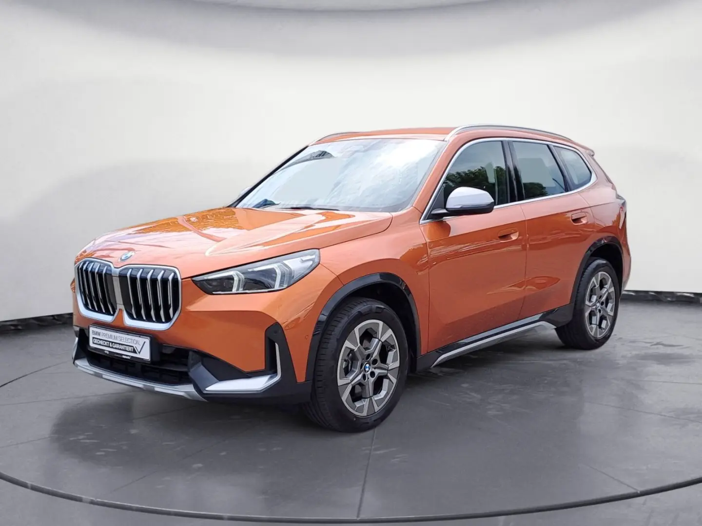 X1 sDrive20i Steptronic Komfortzugang