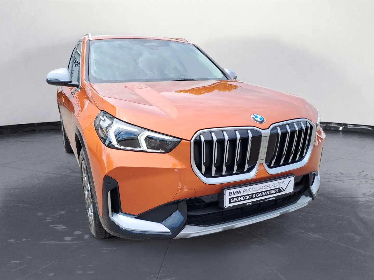 X1 sDrive20i Steptronic Komfortzugang