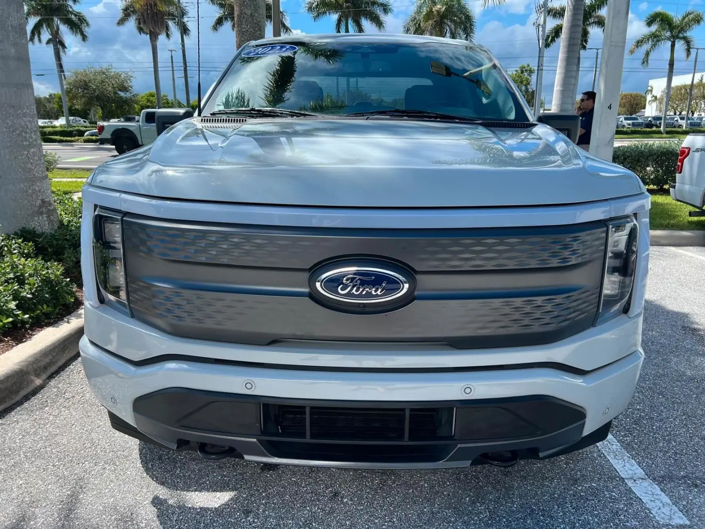 F 150 Lightning SXT AWD Elektro 2023 hellgrau