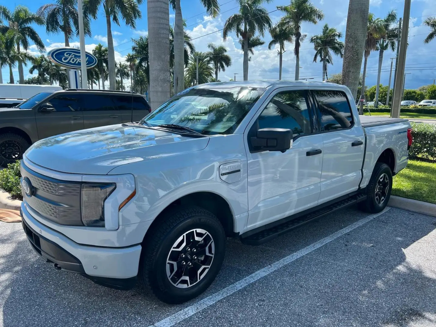 F 150 Lightning SXT AWD Elektro 2023 hellgrau