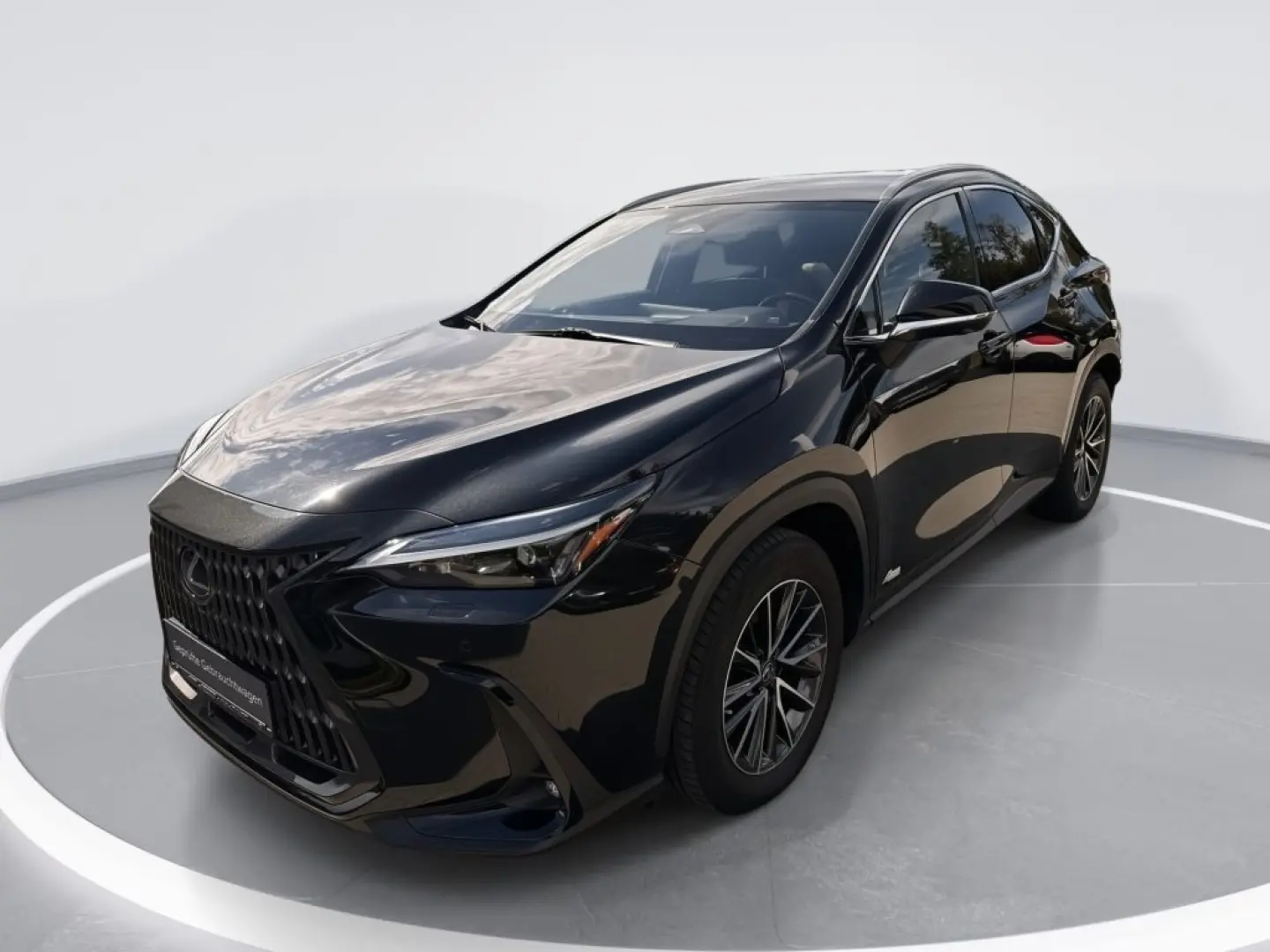 NX 450h  E-FOUR Executive Ventilation 360