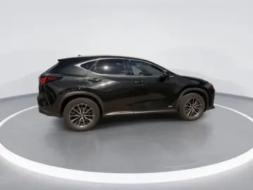 NX 450h  E-FOUR Executive Ventilation 360