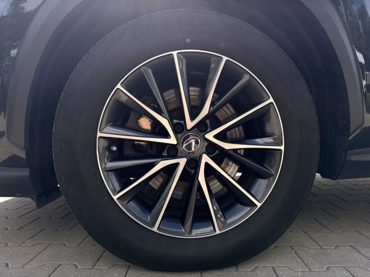 NX 450h  E-FOUR Executive Ventilation 360