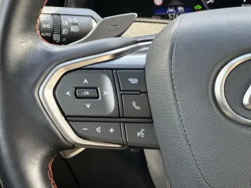 NX 450h  E-FOUR Executive Ventilation 360