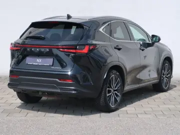 NX 450h  E-FOUR Executive Ventilation 360