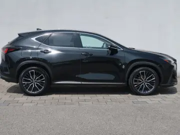 NX 450h  E-FOUR Executive Ventilation 360