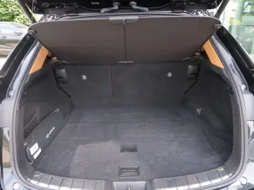 NX 450h  E-FOUR Executive Ventilation 360