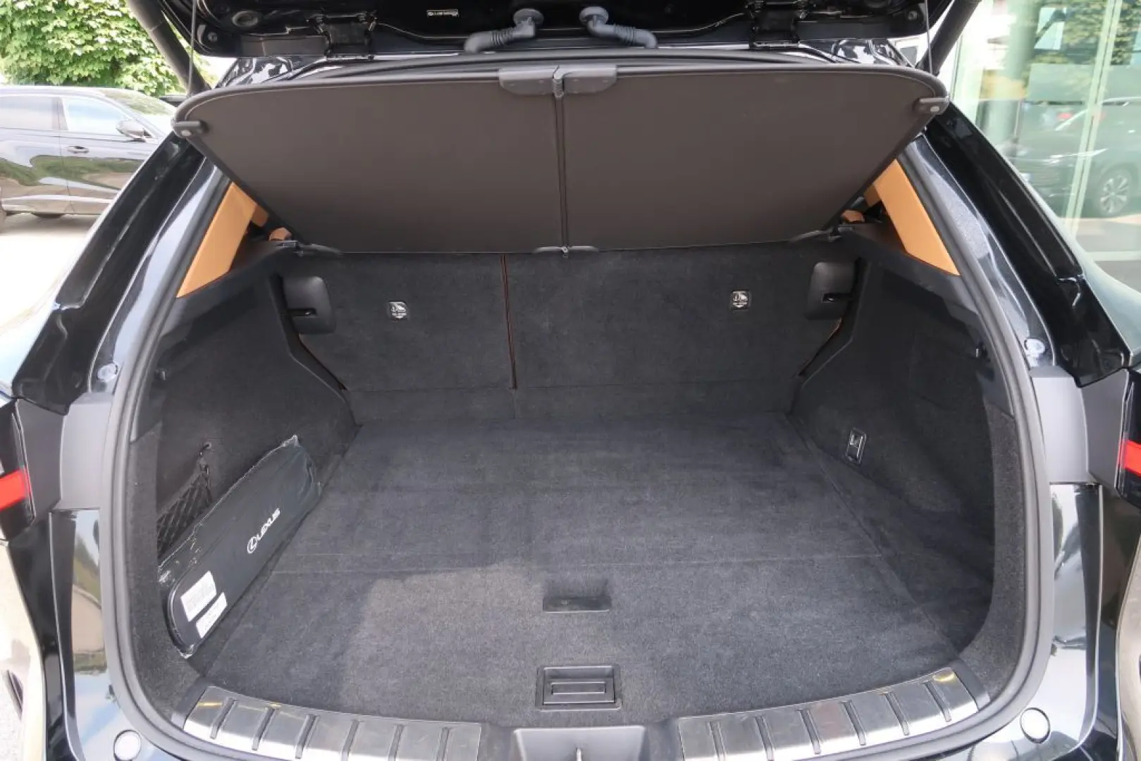 NX 450h  E-FOUR Executive Ventilation 360