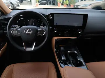 NX 450h  E-FOUR Executive Ventilation 360