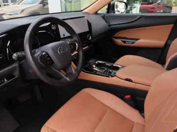 NX 450h  E-FOUR Executive Ventilation 360