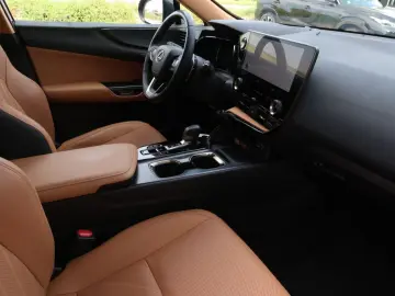 NX 450h  E-FOUR Executive Ventilation 360