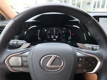 NX 450h  E-FOUR Executive Ventilation 360