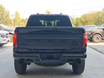 Ford F 150 RAPTOR R