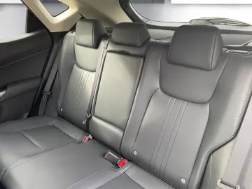 NX 450h  E-FOUR Executive Line