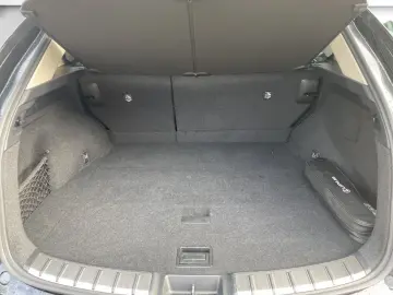 NX 450h  E-FOUR Executive Line