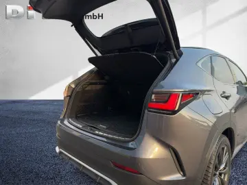 NX 450h  F Sport HUD  4xSHZ  DynLi  Leder