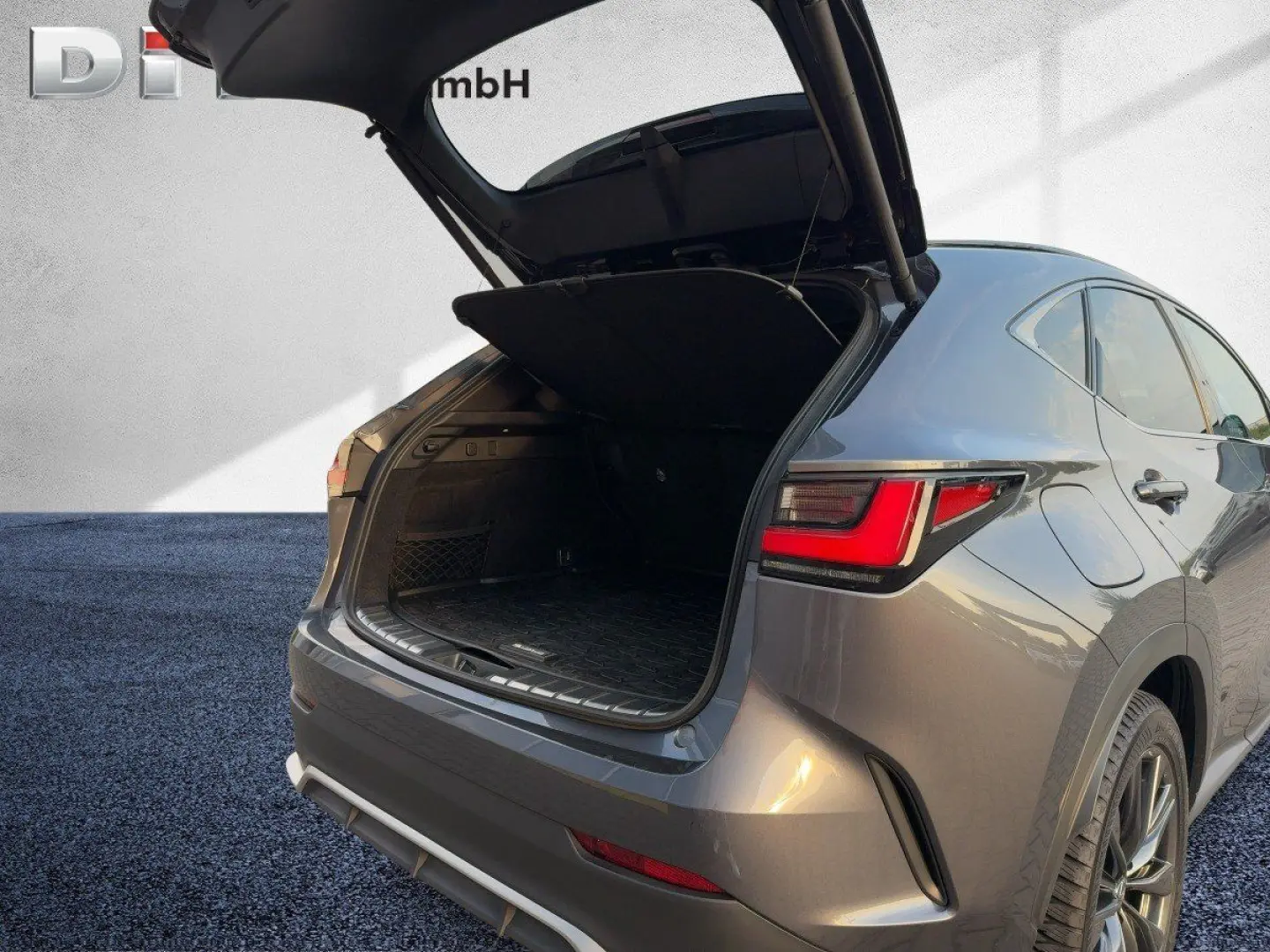 NX 450h  F Sport HUD  4xSHZ  DynLi  Leder