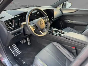 NX 450h  F Sport HUD  4xSHZ  DynLi  Leder