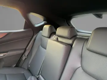 NX 450h  F Sport HUD  4xSHZ  DynLi  Leder