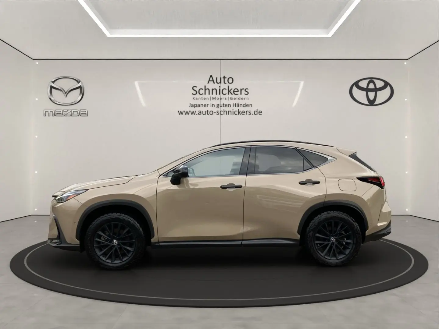 NX 350h E-Four OVETRAIL Ventilation 360 MarkLev