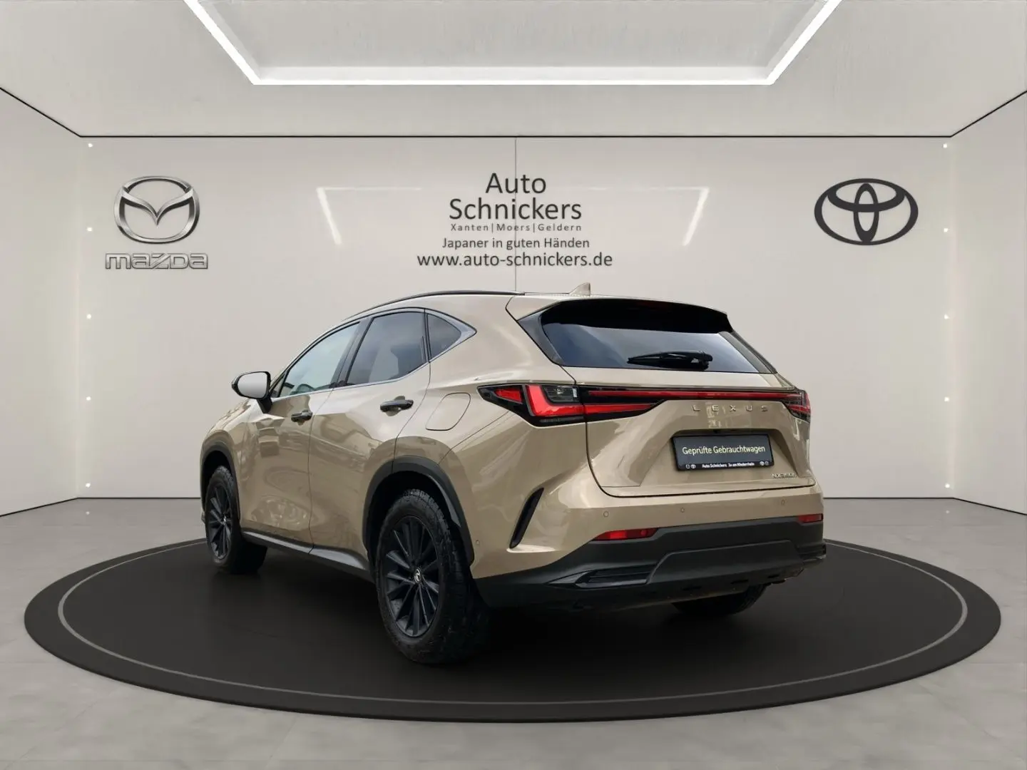 NX 350h E-Four OVETRAIL Ventilation 360 MarkLev